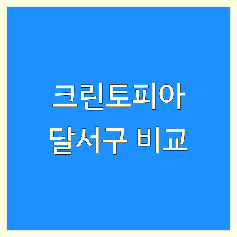 대구 달서구 크린토피아 한눈에 비교 | 2025년 최신 정보 총정리