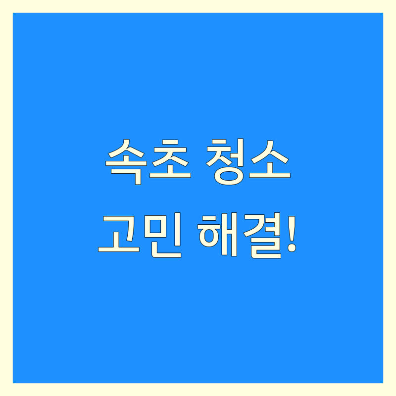 강원 속초시 조양동 청소업체 고민 해결! | 현지인 추천 TOP5