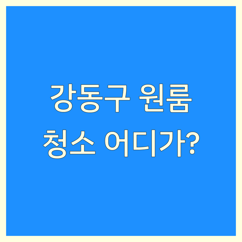 강동구 원룸청소 어디가 좋을까? | 전문가 추천 완벽 가이드