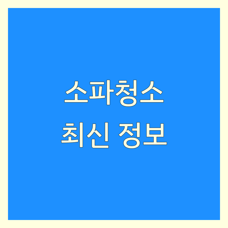 청주 소파청소 한눈에 비교 | 2025년 최신 정보 총정리
