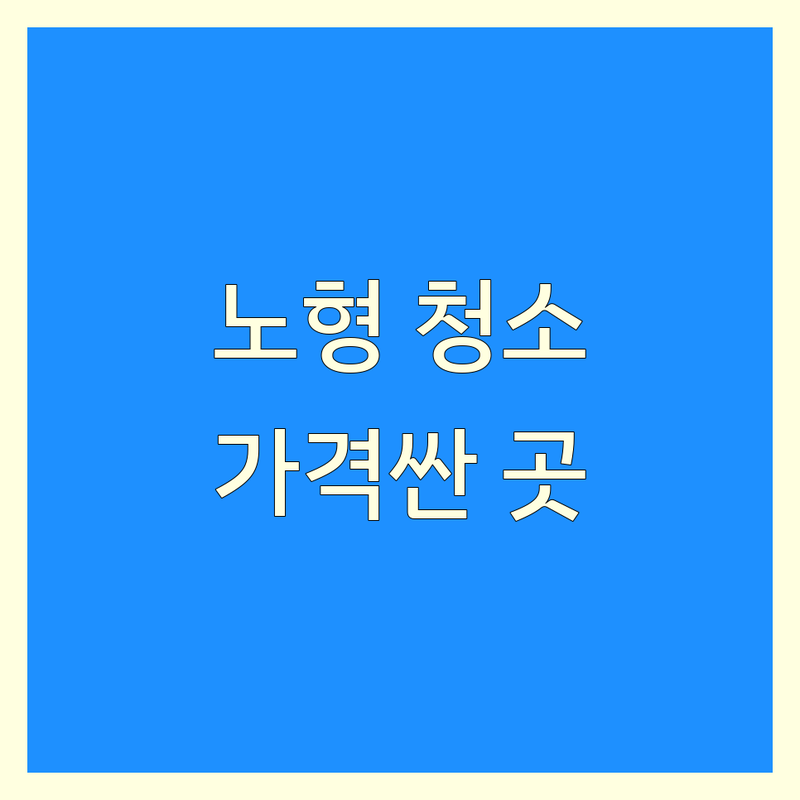 제주 노형동 청소 서비스 저렴한 곳 가격싼 곳 업체 추천 | 입주 이사 거주 청소 비용 가격 잘하는 곳 | 소독 방역 홈케어 생활 청소 | 아파트 빌라 원룸 오피스텔 사무실 청소 | 에어컨 세탁기 냉장고 침대 청소 후기