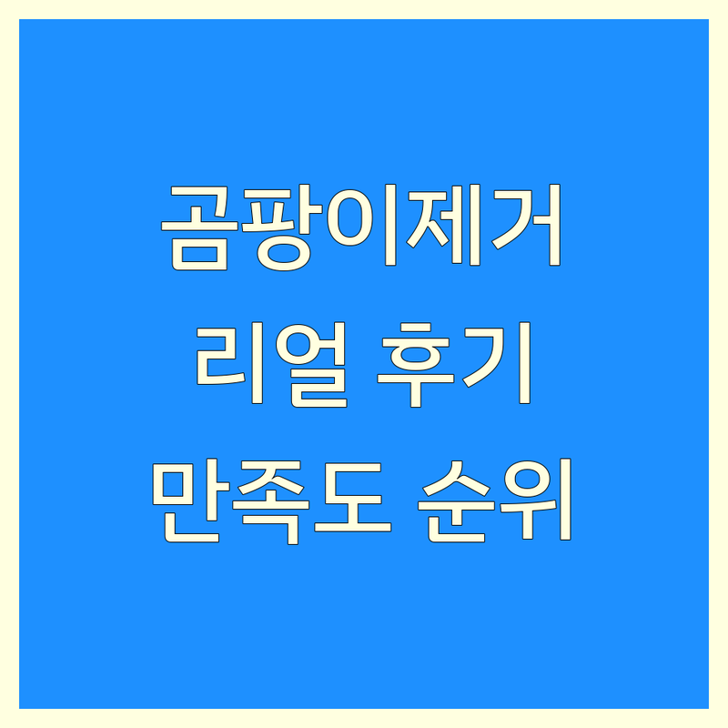 서울 금천구 곰팡이제거 리얼 후기 기반 정보 | 만족도 순위 공개