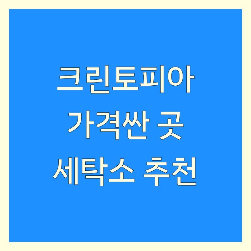 서울 크린토피아 저렴한 곳 가격싼 곳 업체 추천 | 세탁소 드라이클리닝 비용 가격 잘하는 곳 | 와이셔츠세탁 이불세탁 명품세탁 운동화세탁 | 코인빨래방 셀프빨래방 | 후암동 냉천동 교북동 아현동