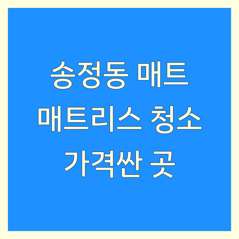 경기 광주시 송정동 침대매트리스청소 저렴한 곳/가격싼 곳 업체 추천 | 매트리스청소 비용/가격 잘하는 곳 | 건식 습식케어 살균 | 진드기 얼룩제거 | 방문케어 친환경세제 예약상담 간편결제 주차가능