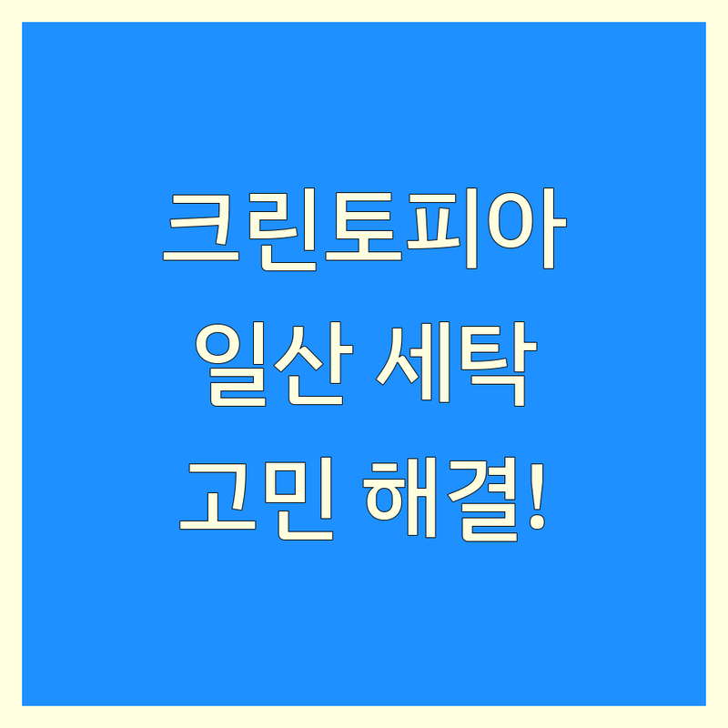 크린토피아 고민 해결! 고양시 일산 세탁 솔루션 | 전문가가 알려주는 선택 팁