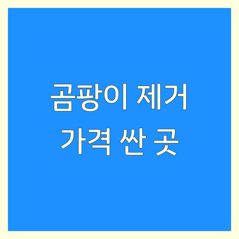 서울 중구 종로구 곰팡이제거 저렴한 곳 가격싼 곳 업체 추천 | 곰팡이 제거 비용 가격 잘하는 곳 | 벽 곰팡이 제거 베란다 곰팡이 제거 화장실 곰팡이 제거 | 셀프 곰팡이 제거 팁 결로 곰팡이 방지 | 곰팡이 예방 노하우 환기 습기 관리