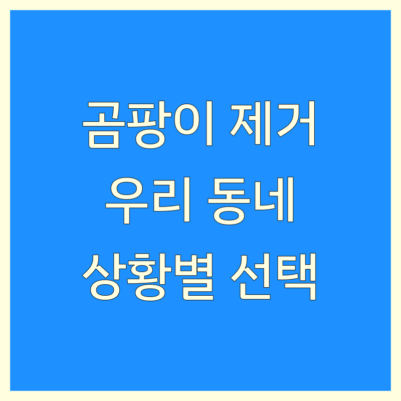 곰팡이제거 걱정 없는 우리 동네 청소 가이드 | 상황별 최적의 선택법