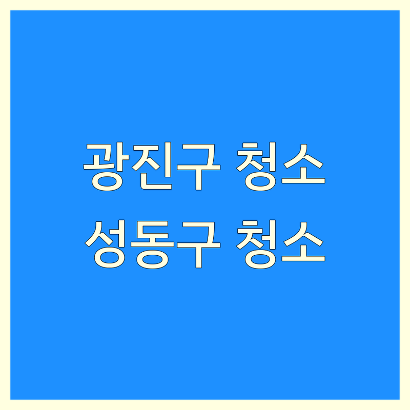 서울 광진구/성동구 청소 전문가 해결사 추천 | 서비스별 특징 완벽 비교