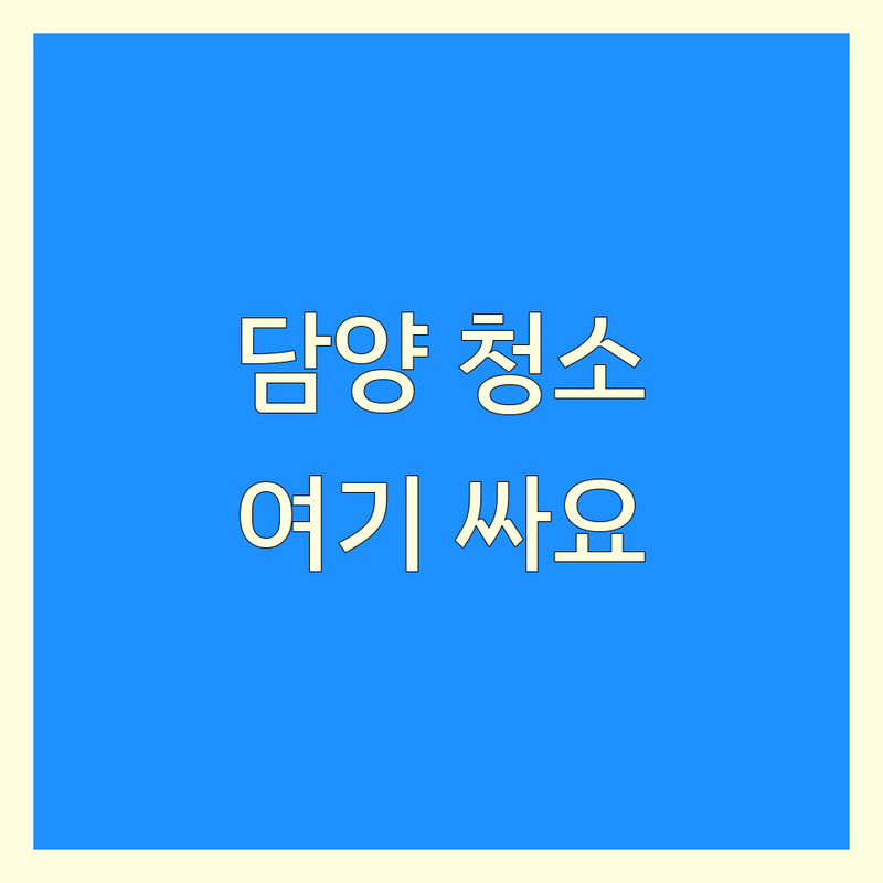 담양군 담양읍 청소 저렴한 곳 가격싼 곳 업체 추천 | 청소 비용 가격 잘하는 곳 | 에어컨청소 세탁기청소 입주청소 이사청소 특수청소 | 냉장고청소 유리창청소 시스템에어컨 | 무료상담 방문수거 무상수거 예약신청