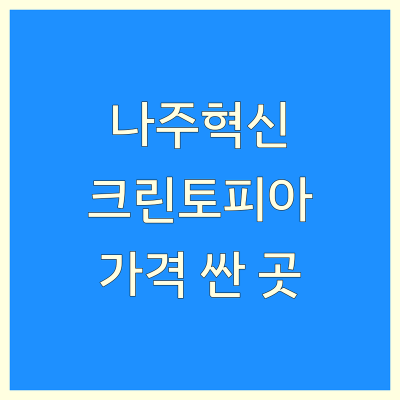 나주혁신도시 크린토피아 저렴한 곳 가격싼 곳 업체 추천 | 세탁소 코인빨래방 비용 가격 잘하는 곳 | 와이셔츠 이불 운동화 드라이클리닝 | 24시 셀프빨래방 명품세탁 수거배달 | 친절한 서비스 방문 후기