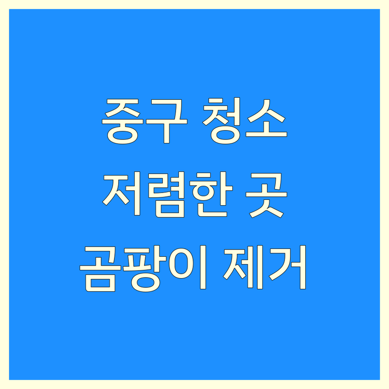 서울 중구 화장실청소 저렴한 곳 가격싼 곳 업체 추천 | 화장실청소 비용 가격 잘하는 곳 | 곰팡이청소 물때제거 변기청소 | 욕실청소 바닥청소 타일청소 | 입주청소 정기청소 부분청소